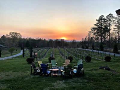 Spring sunset at the vineyards. Photo by Steve Collins.