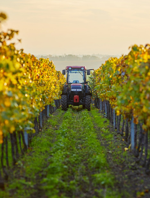 Terroir 1